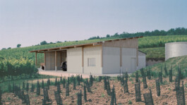 Structure bois massif par Tonale architecture Tonale